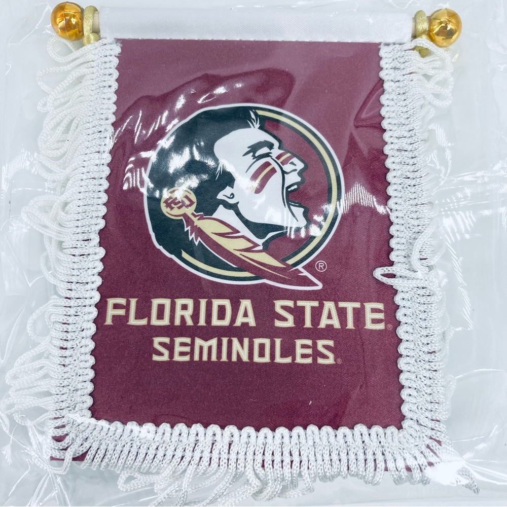 Florida State University Seminoles Mini Hanging Banner w/Suction Cup FSU New
